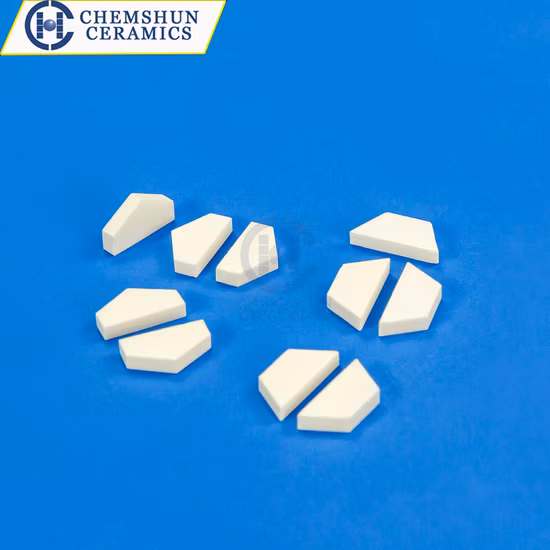 Various Specifications 95% Alumina Wear Resistant Ceramic Liner